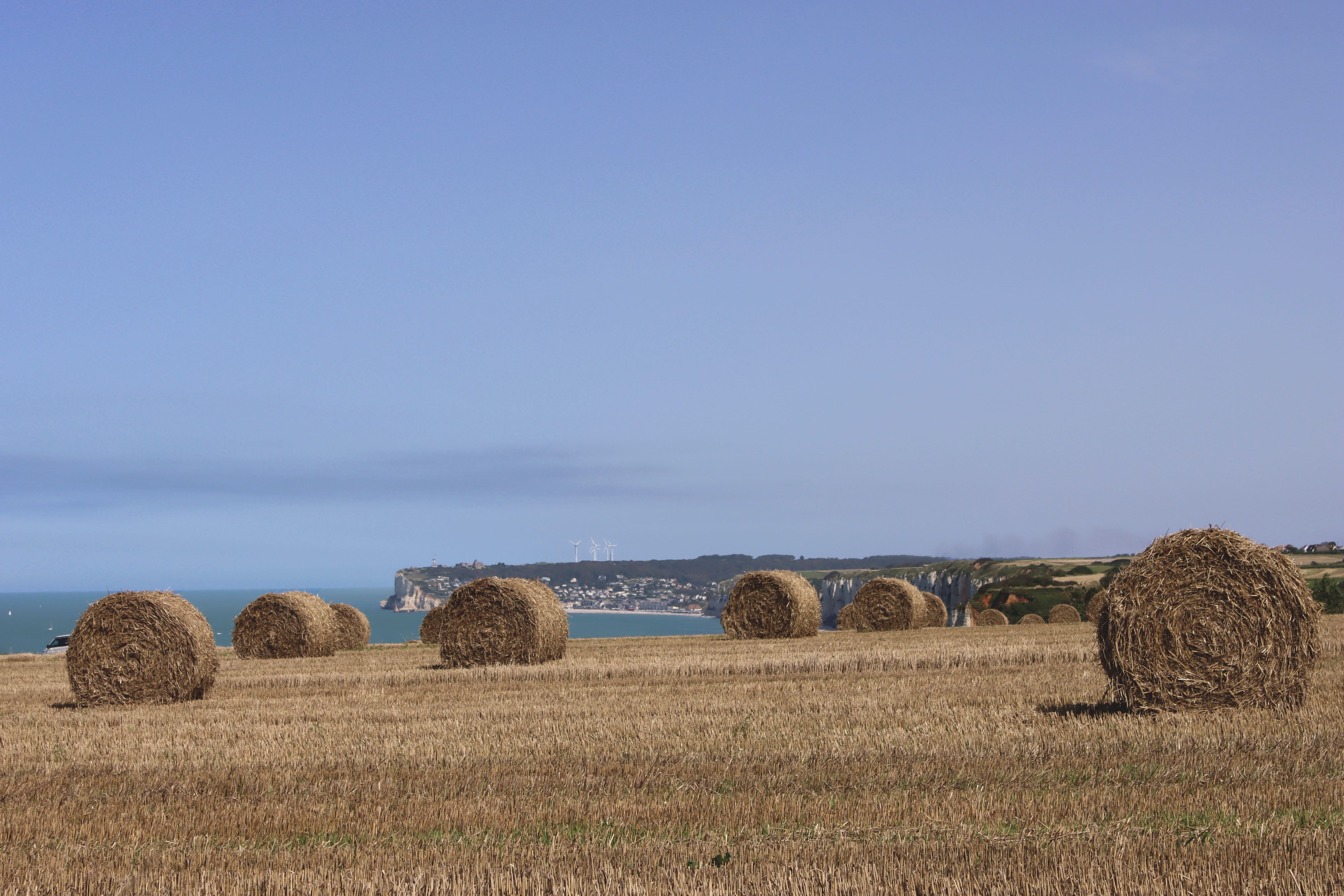 Normandy Map